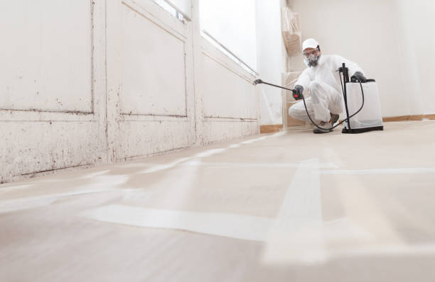 24/7 Emergency Bathroom Mold Removal experts in Everett, WA